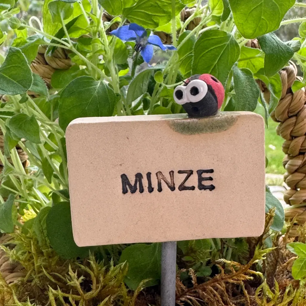 Kräuterstecker Minze