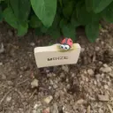 Kräuterstecker Minze