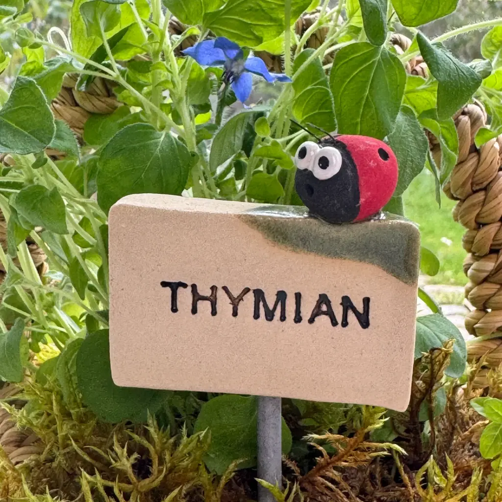 Kräuterstecker Thymian