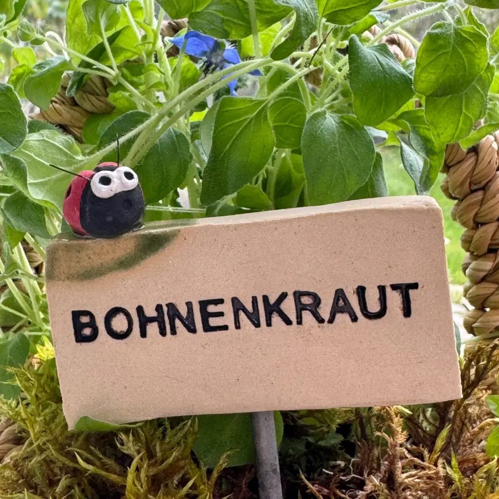 Kräuterstecker Bohnenkraut