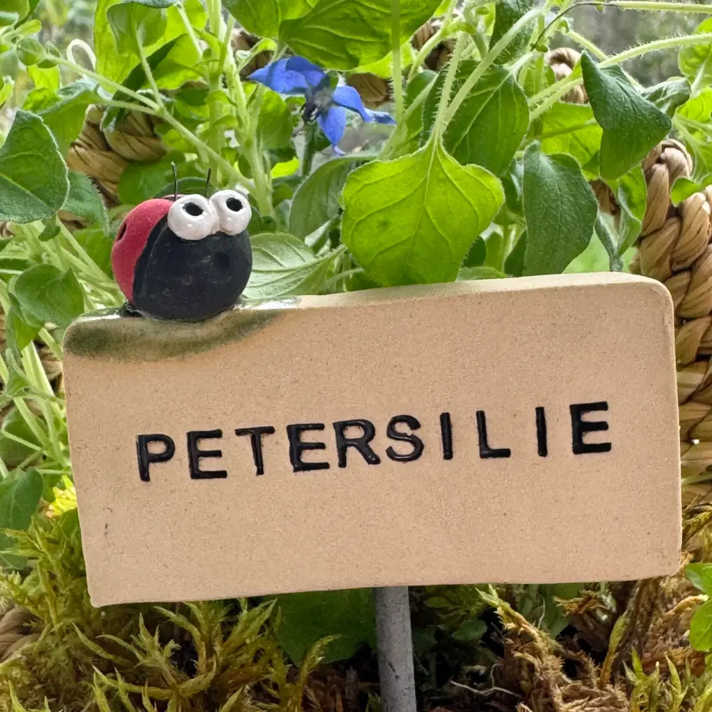 Kräuterstecker Petersilie
