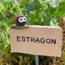 Kräuterstecker Estragon