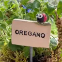 Kräuterstecker Oregano