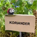 Kräuterstecker Koriander