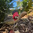 Spinne Agathe – handgefertigte Keramikfigur für Garten & Netzdeko
