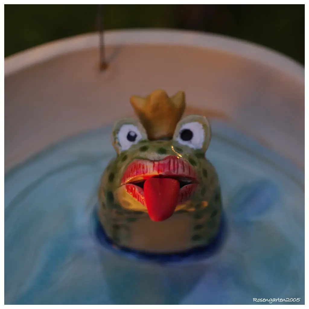 Insektentränke Froschkönig