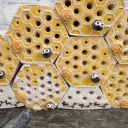 Bienenstein Bienenwabe