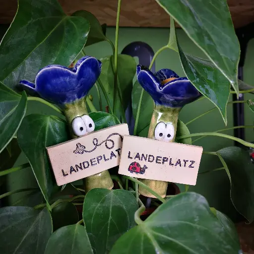 Bienenbar Landeplatz