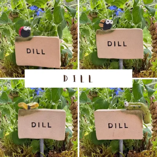Kräuterstecker Dill