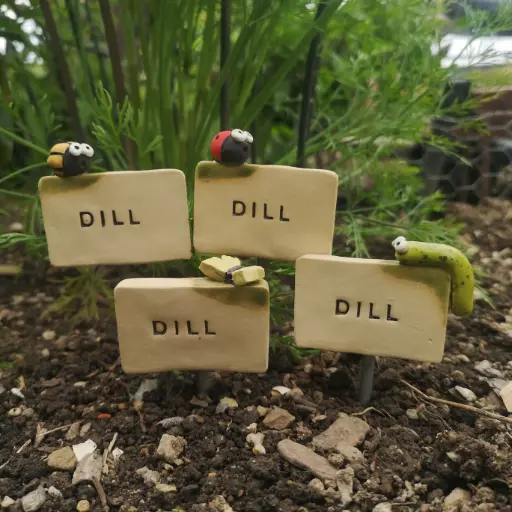 Kräuterstecker Dill