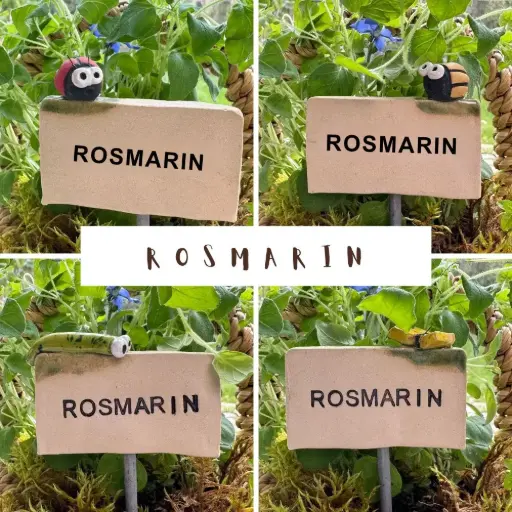 Kräuterstecker Rosmarin