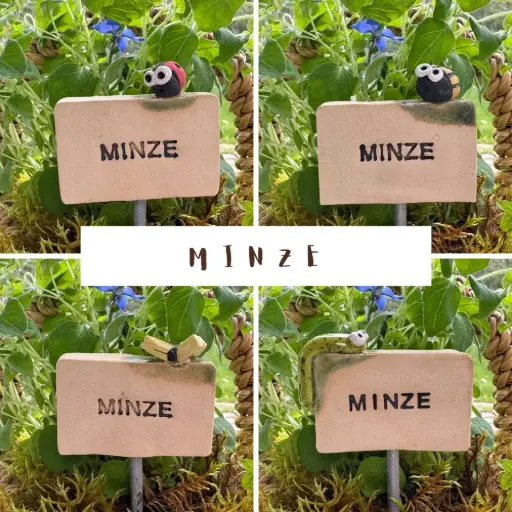 Kräuterstecker Minze