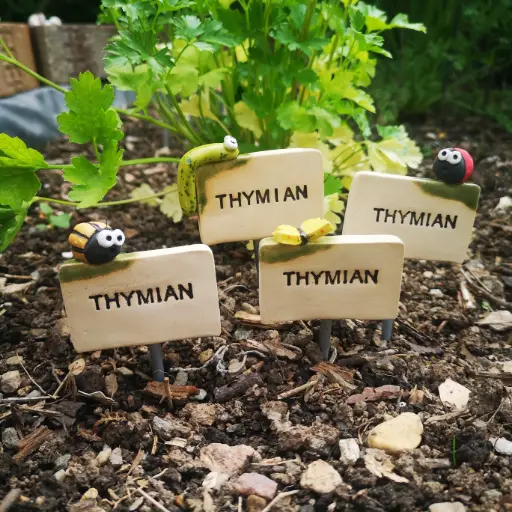 Kräuterstecker Thymian