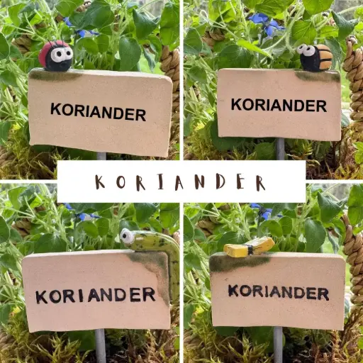 Kräuterstecker Koriander