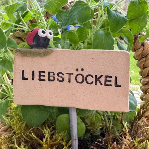 Kräuterstecker Liebstöckel