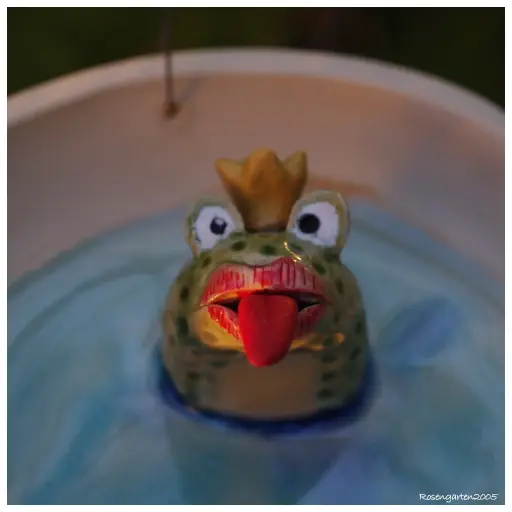 Insektentränke Froschkönig