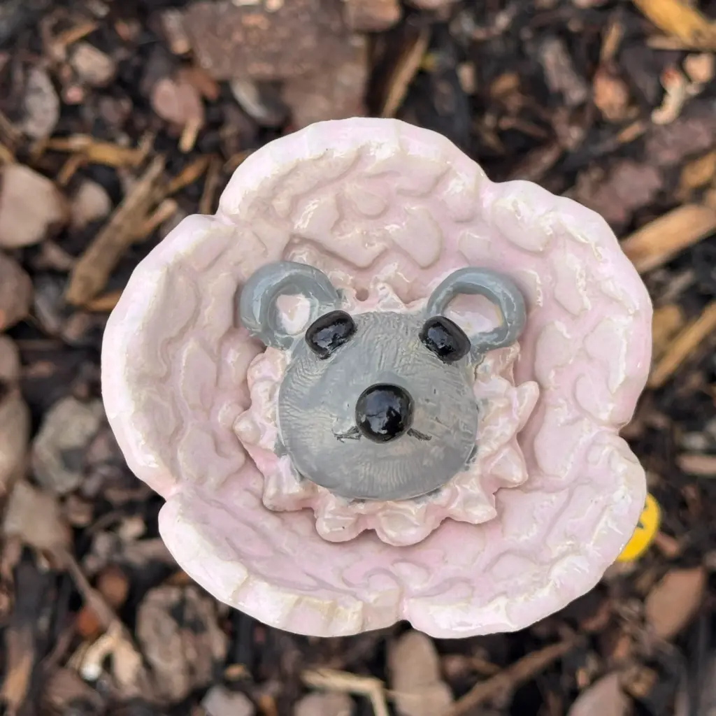 Bienenbar Monatsedition Januar 2026 für Sammler